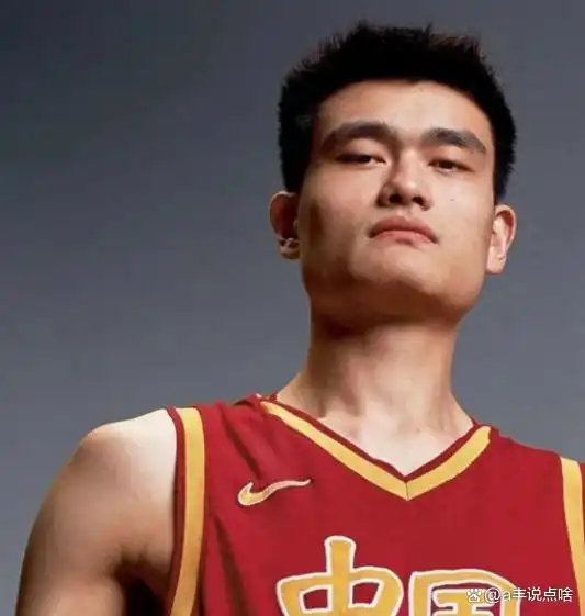 姚明NBA退休金_姚明nba打了几年_姚明篮球生涯成就
