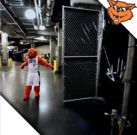 nba 钓鱼_NBA球星钓鱼趣事_NBA球员钓鱼爱好