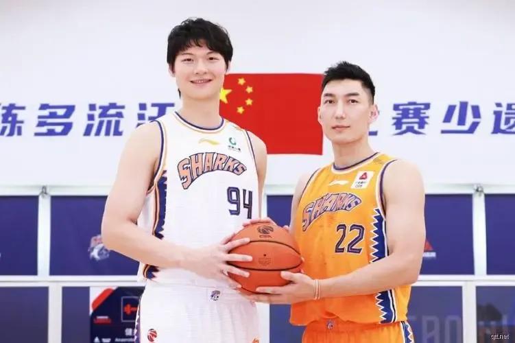 辽宁籍球员数量_cba四强籍贯分布_cba湖南籍球员
