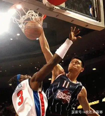 nba站立摸高排行榜_NBA现役站立摸高排行榜_周琦2.93米站立摸高