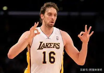 NBA球员站立摸高数据_nba站立摸高排行榜_NBA现役球员站立摸高排行