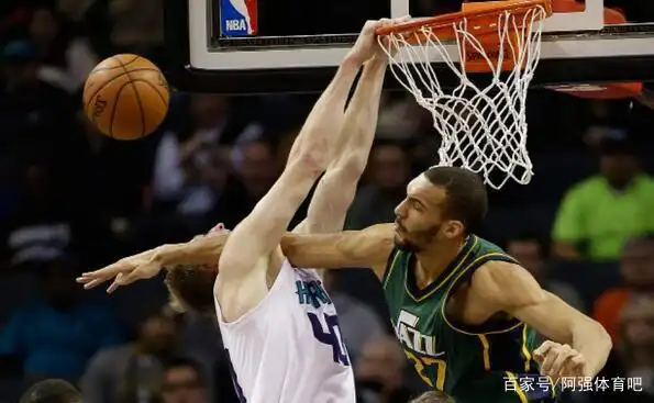nba站立摸高排行榜_NBA现役球员站立摸高排行_NBA球员站立摸高数据