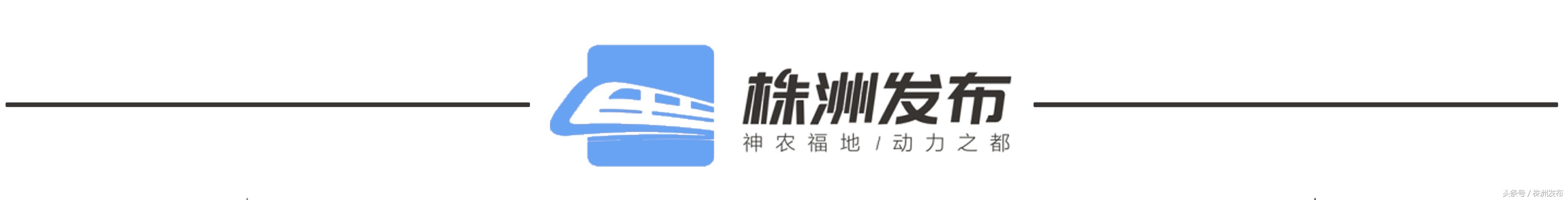 世界杯博彩行业分析_世界杯赌输网_世界杯期间互联网购彩现状