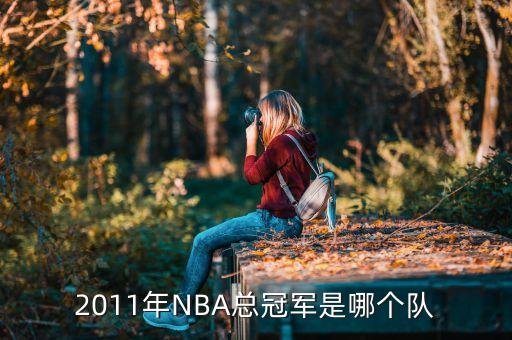 2011年NBA总冠军是哪个队