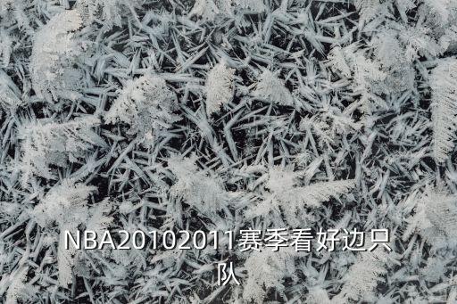 NBA20102011赛季看好边只队