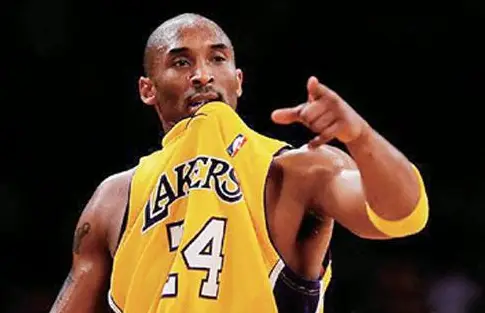 2013年NBA最佳阵容_2013年NBA最佳阵容成员分析_2013nba总冠军