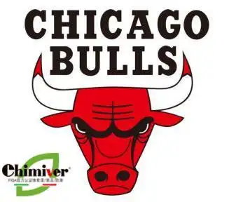 NBA地板彩漆地板图秘密_nba运动木地板_NBA球队运动木地板设计