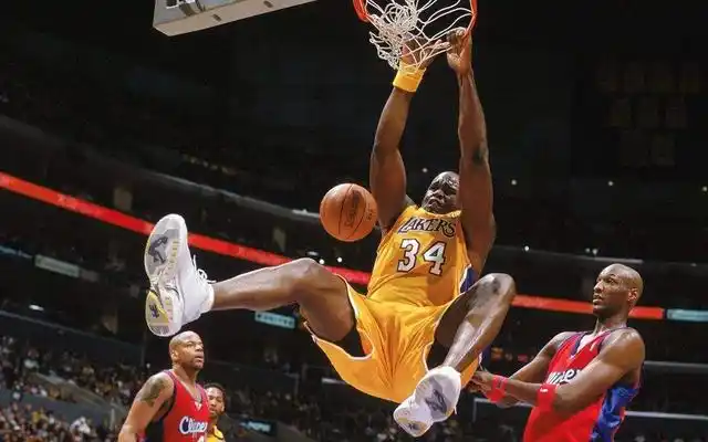 科比布莱恩特NBA生涯数据_NBA历史50大球星排名_nba50大巨星名单