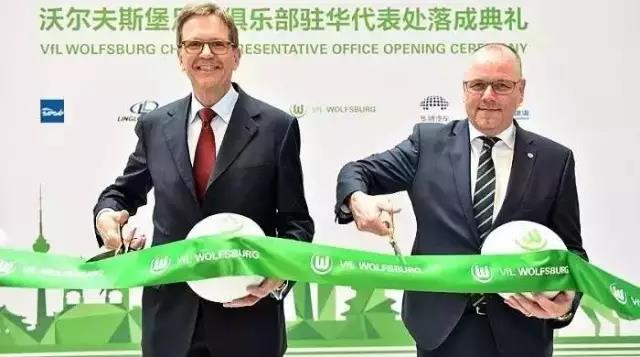 德甲联赛中国版权价值_苏宁体育德甲版权_2015德甲版权