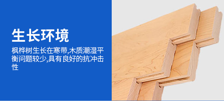 NBA篮球场尺寸_nba篮球场大_NBA标准篮球场尺寸