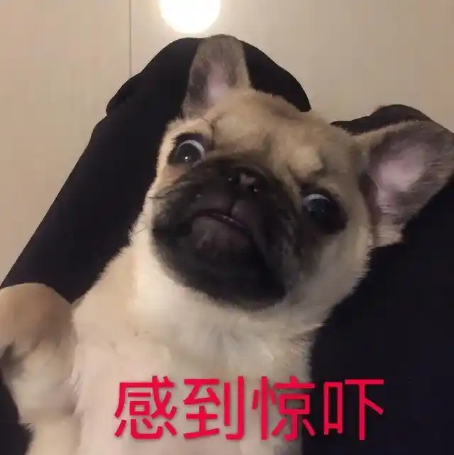 卡塔尔世界杯揭幕战开启警惕网络赌球风险多起案例曝光
