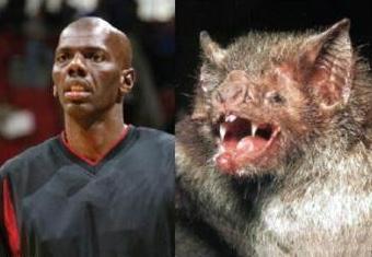 NBA球星长相特点_NBA丑帅球星_最丑的nba球星