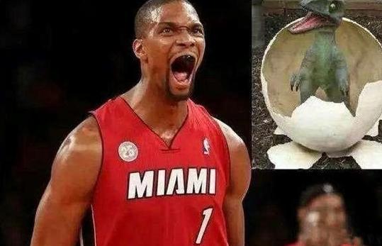 NBA丑帅球星_最丑的nba球星_NBA球星长相特点