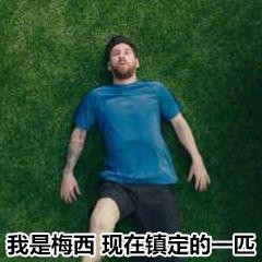世界杯表情_世界杯慌的一批表情包_梅西慌的一批表情包