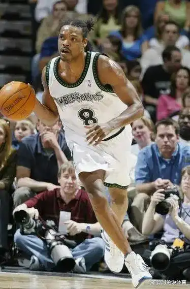 NBA球星争议行为分析_nba脾气最坏的球员_NBA历史上最令人讨厌的球员
