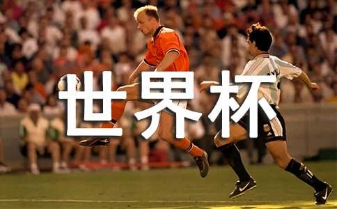 看世界杯的观后感精彩与无聊并存各队进球数成看点