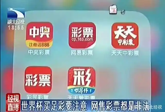 六月世界杯成热门网上买足彩非法你知道吗