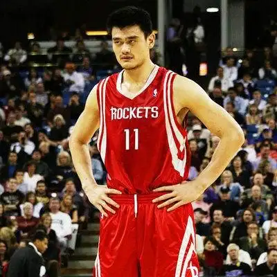 2010-2011赛季NBA薪水排名_姚明NBA年薪水平_姚明在nba的收入