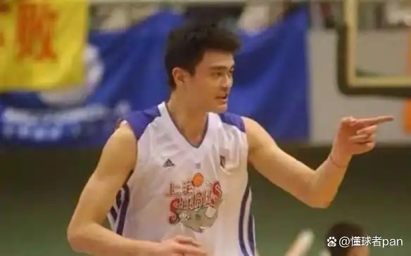 姚明CBA薪水统计_姚明在nba的收入_姚明NBA生涯收入分析