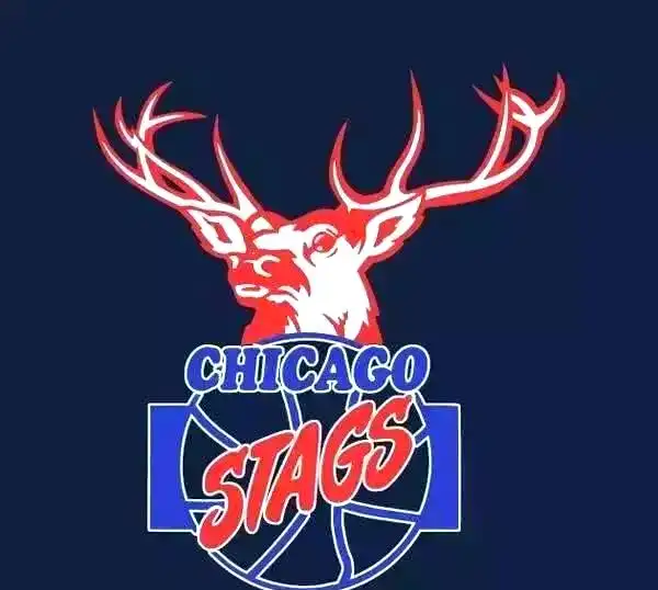 消失的NBA球队列表_NBA解散球队回顾_nba消失的球队