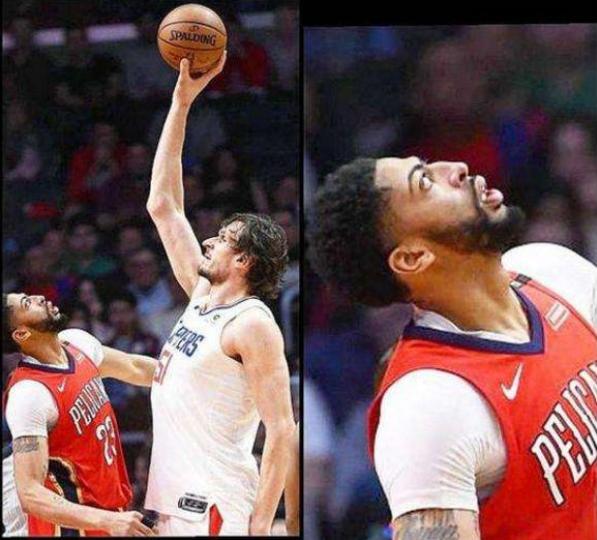 NBA SSS级臂展球员_nba球星臂展_浓眉哥戴维斯臂展数据