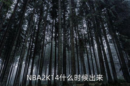 NBA 2K14小前锋属性作用及存档位置、发售时间介绍