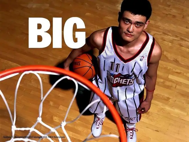 NBA历史最伟大中锋_NBA最具统治力的巨人_nba历史最高人