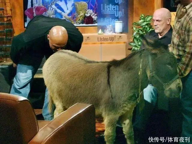 姚明nba拿过总冠军_姚明NBA生涯20周年_姚明NBA经典比赛回顾