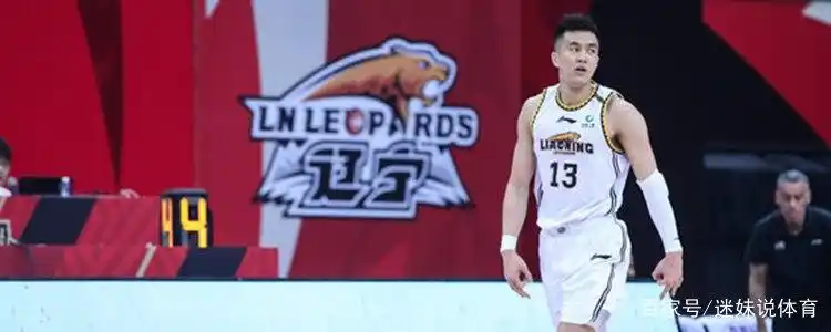 CBA 20 支球队名称及图标全知晓快来一探究竟