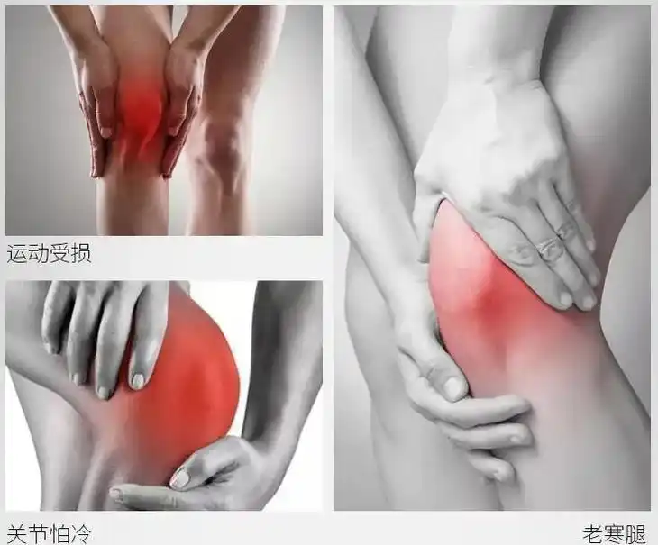 nba 护膝_运动护膝_日常护膝