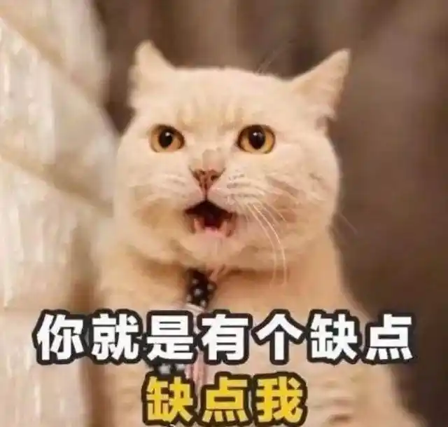 世界杯的土味_世界杯土味情话撩妹_C罗世界杯土味情话