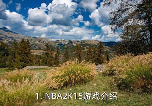 NBA2K15游戏介绍高质量体验逼真角色与便捷操控