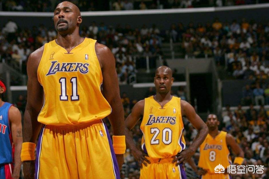 NBA历史最佳大前锋_nba五大前锋_NBA前五大前锋排名
