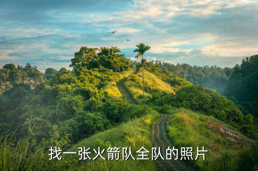 找一张火箭队全队的照片