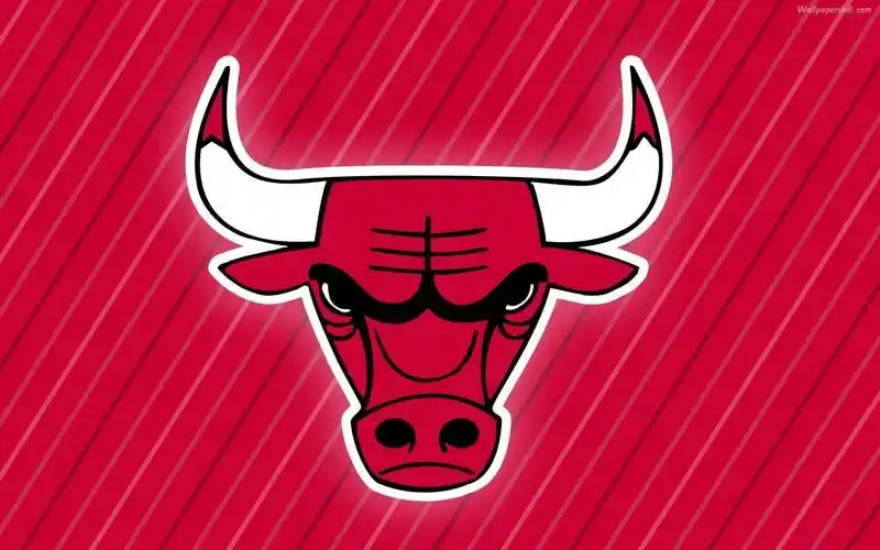 NBA球队队名由来_NBA球队队名文化_nba球队的名字大全