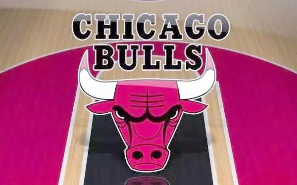 NBA球队队名文化_nba球队的名字大全_NBA球队队名由来