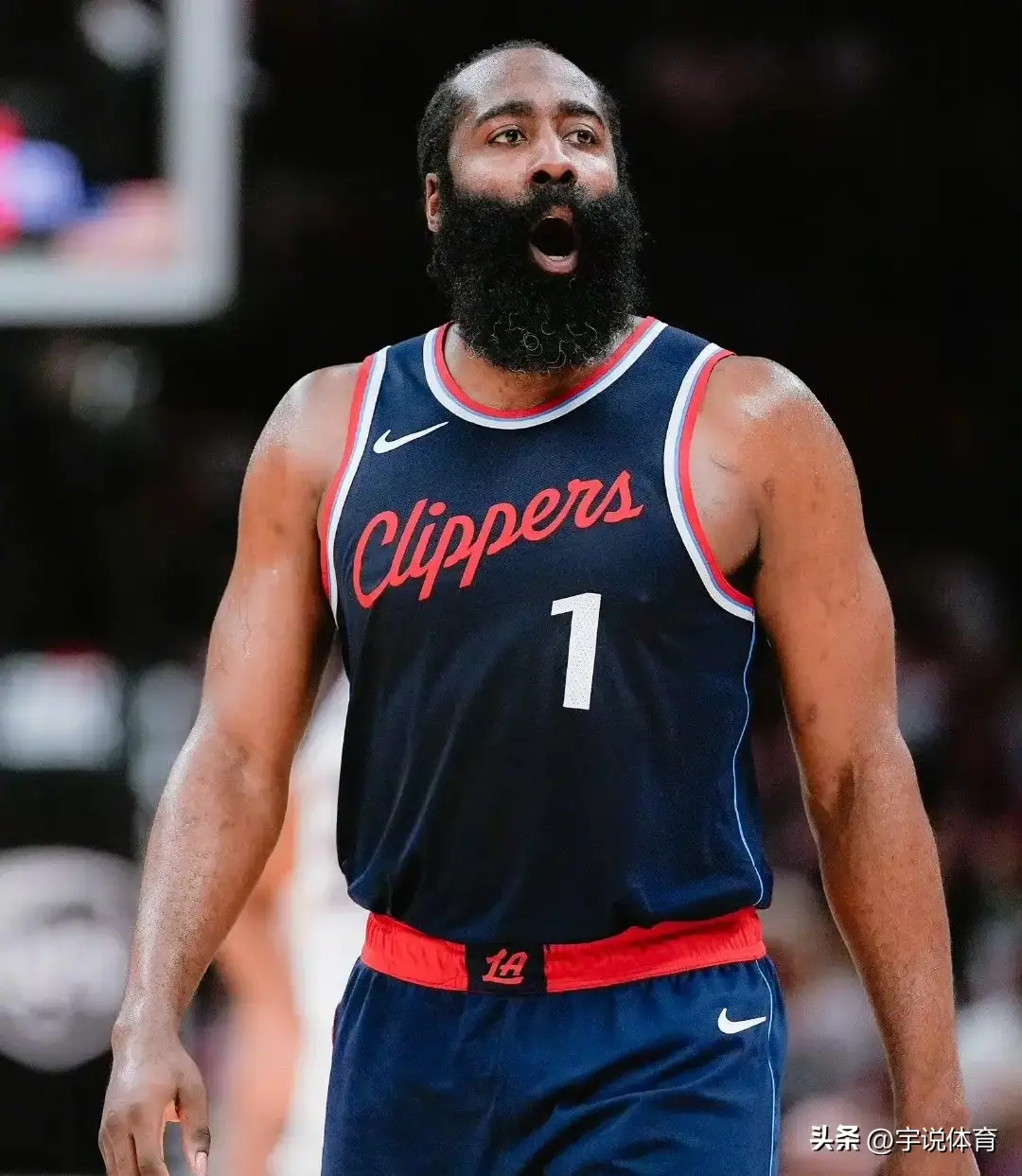 NBA历史上最佳后卫盖帽排名_后卫最高盖帽数量_nba历史盖帽排行榜
