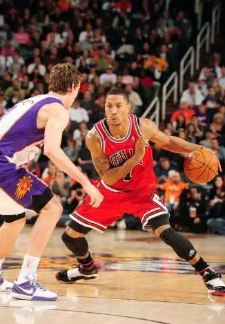 nba没有半月板_NBA球员半月板损伤 球星半月板手术案例 罗伊罗斯小斯韦德半月板问题