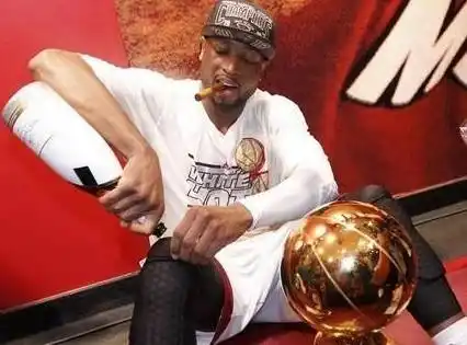 NBA球员半月板损伤 球星半月板手术案例 罗伊罗斯小斯韦德半月板问题_nba没有半月板