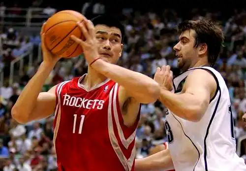 姚明NBA生涯季后赛表现总结_姚明在nba的实力_姚明NBA季后赛数据统计