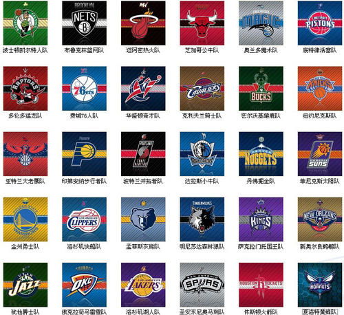 NBA球队标志大揭秘新奥尔良鹈鹕、洛杉矶湖人等都有啥特色