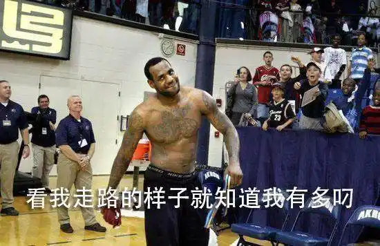 詹姆斯表情包_nba搞笑动态图_NBA搞笑表情包